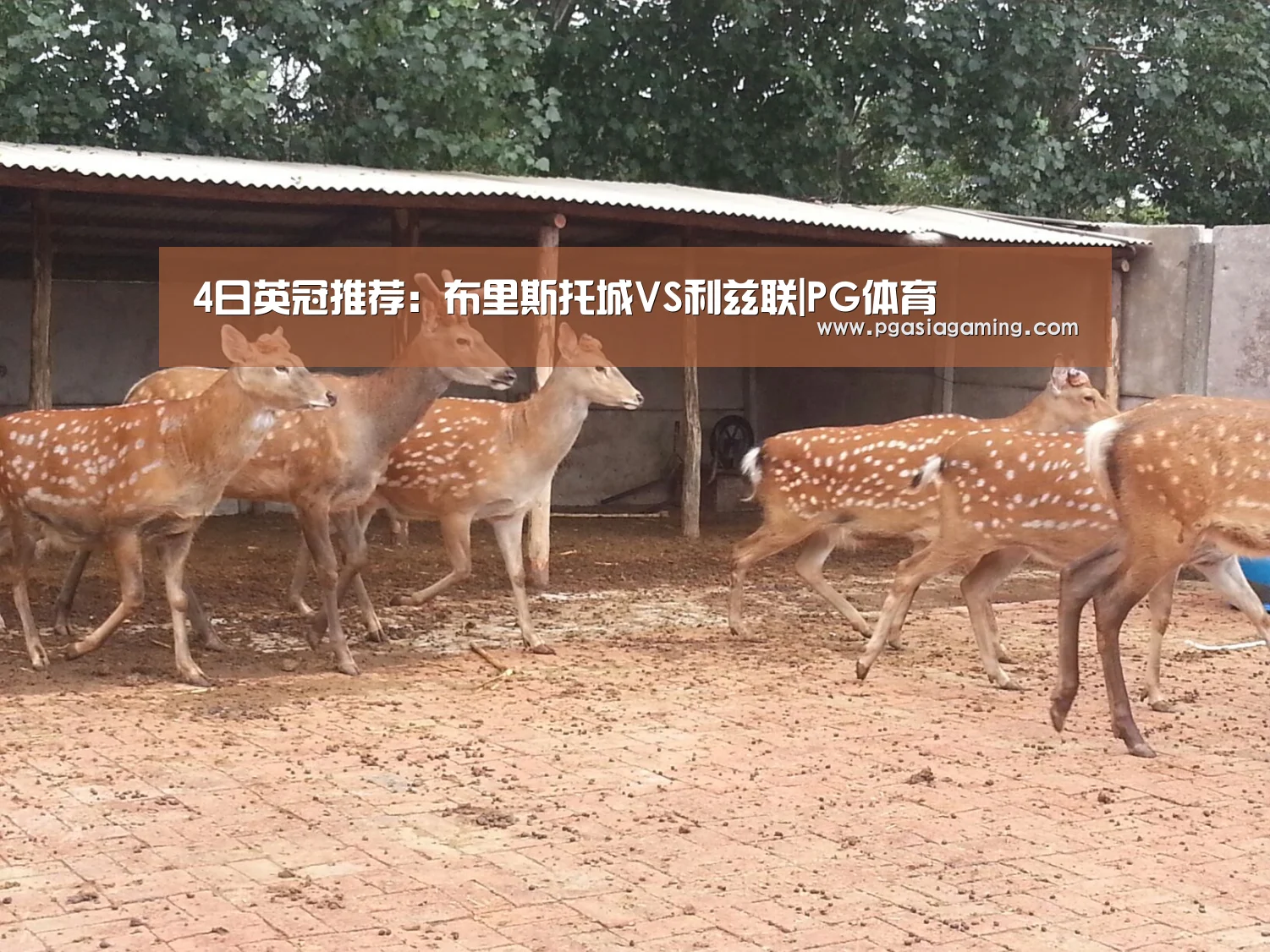 4日英冠推荐:布里斯托城VS利兹联|PG体育(图2) PG体育