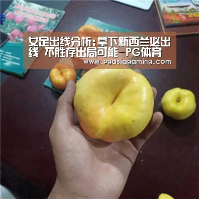 PG体育
