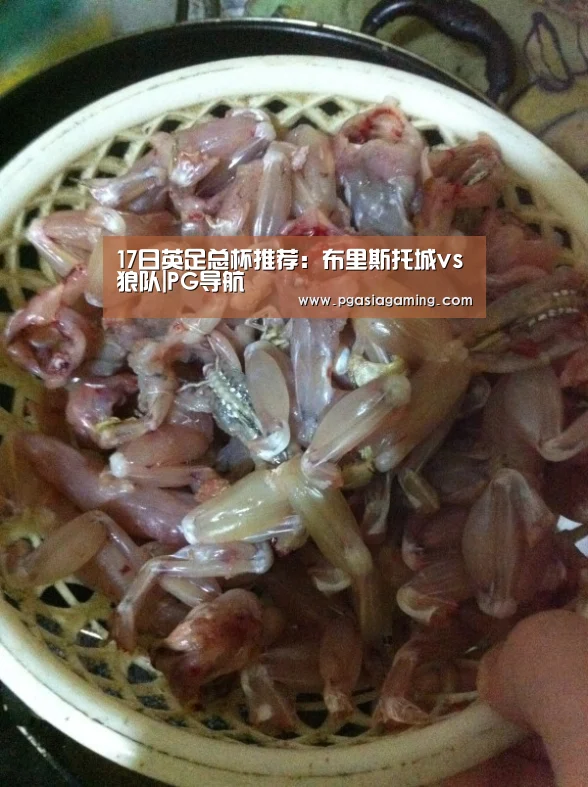 17日英足总杯推荐:布里斯托城vs狼队|PG导航(图2) PG体育
