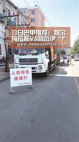 13日巴甲推荐:帕尔梅拉斯VS阿瓦伊“PG专区”(图2) PG直播